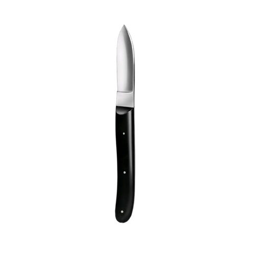 Plaster Knife 